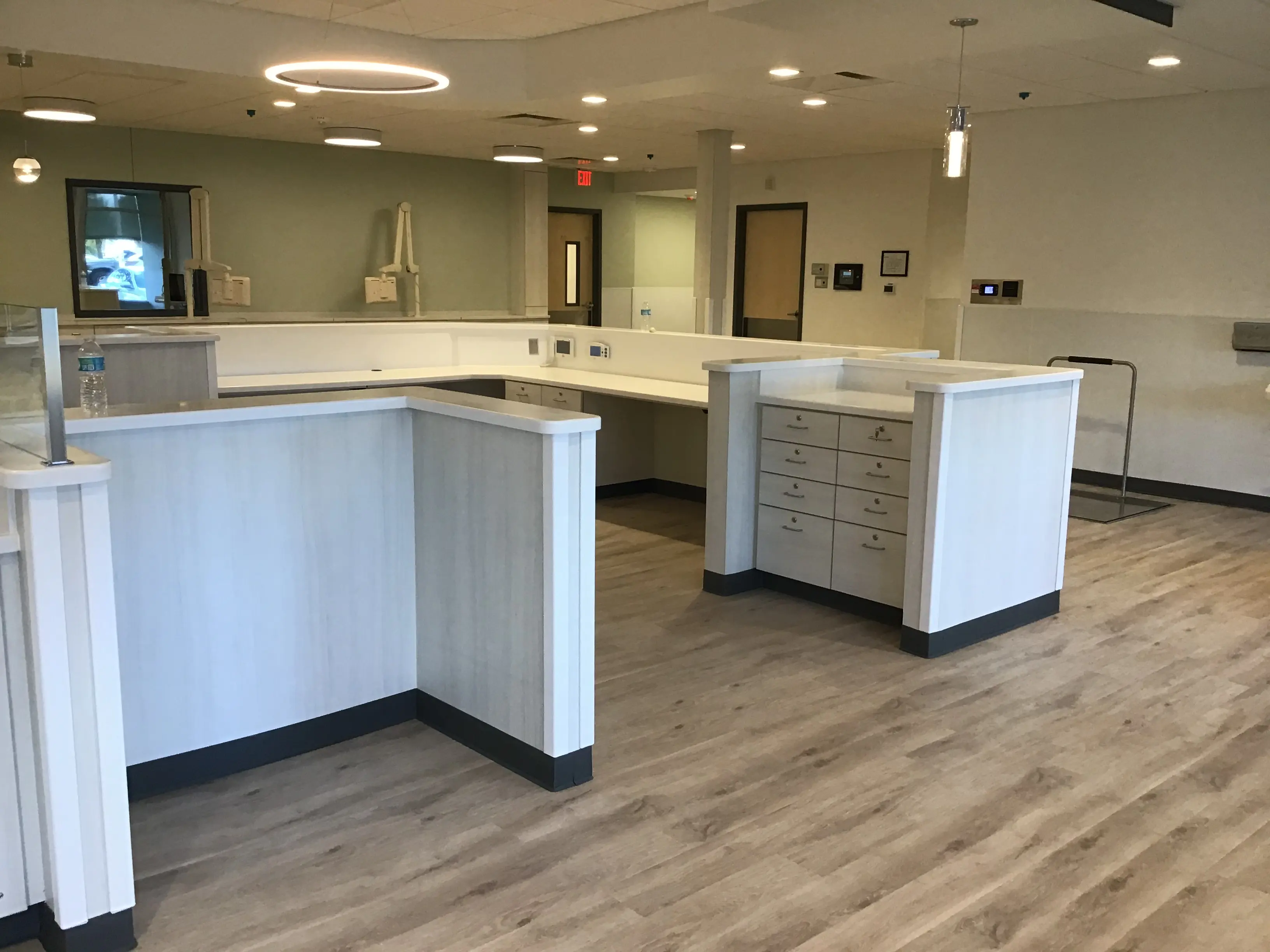Workstation and reception millwork in the completed Pure Life interior